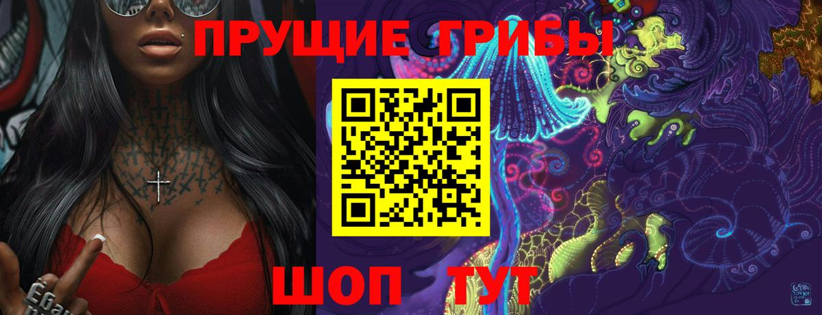 Псилоцибиновые грибы Psilocybe Волоколамск